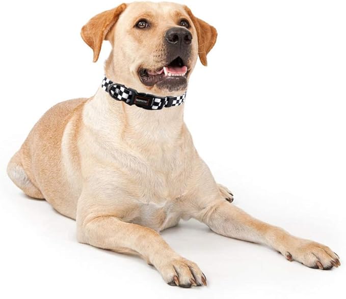 QQPETS Adjustable Soft Dog Collar: Print Flower Pink Multicolor Cute Patterns for XS Small Medium Large Pet Girl Boy Puppy Walking Running Training (L, Plaid)