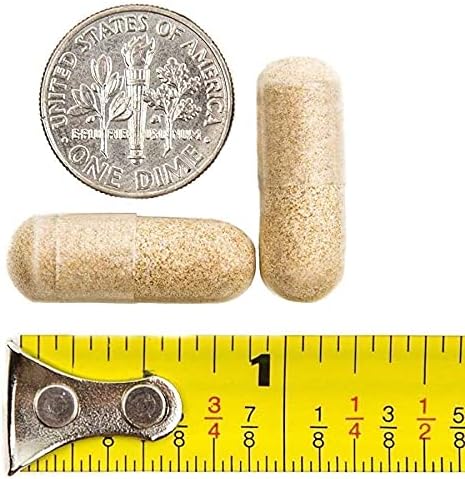 BariatricPal 90-Day Bariatric Vitamin Bundle (Multivitamin ONE 1 per Day! Capsule with 45mg Iron and Calcium Citrate Soft Chews 500mg with Probiotics - Orange Creamsicle)