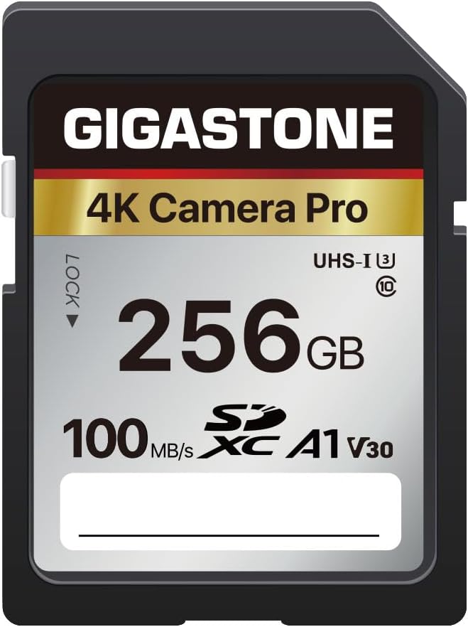 【5-Years Data Recovery】GIGASTONE 256GB SD Card, 4K Camera Pro, UHS-I A1 V30