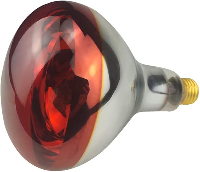 Heat Lamp Bulb R40 125 Watt 2 Pack Painted Red Infrared Glass Lamp Bulb for Food Service, Brooder Bulb, Chicks, Pet, Bathroom.