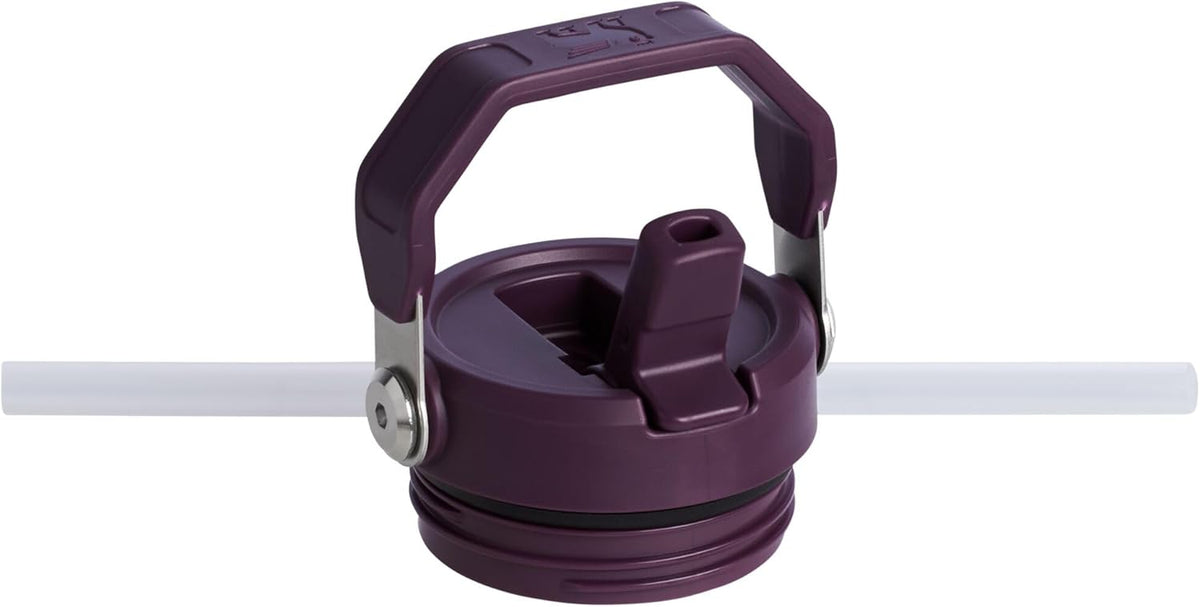 Stanley IceFlow 2.0 Water Bottle - 24 OZ Insulated Stainless Steel | Lightweight, Leak-Resistant & BPA-Free | Plum