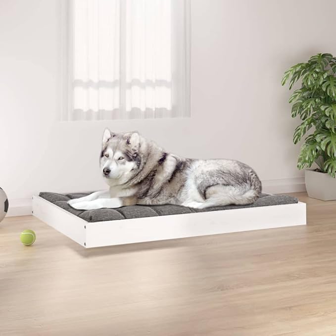Medium Elevated Dog Bed, Solid Pine Wood Pet Cot for Indoor Use, Modern Minimalist Style White Pet Furniture, Durable Raised Sleeping Platform for Medium Dogs