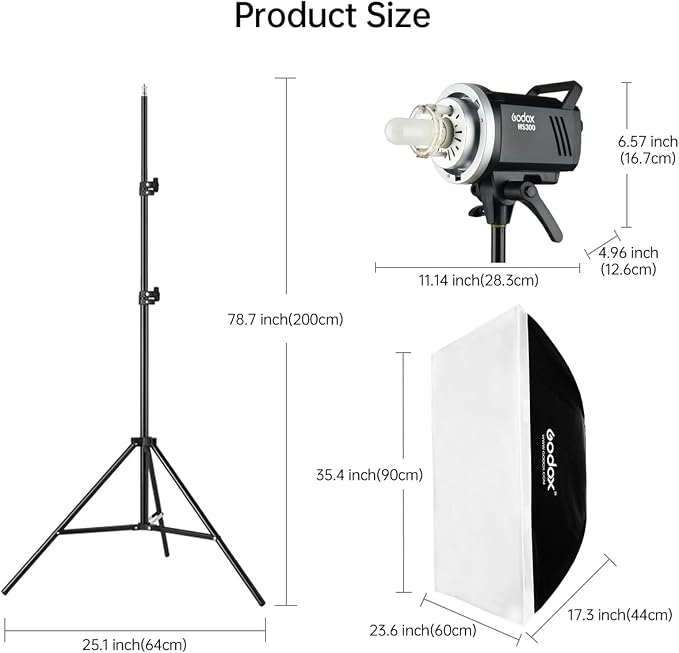 2pcs Godox MS300 Studio Flash Kit