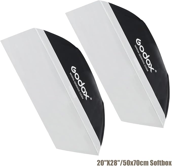 Godox 600W Professional Studio Strobe Lights Kit, 2X 300W 5600K Monolights