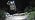 AlpsWolf LED Headlamp Rechargeable 1 Pack, Motion Sensor Head Light
