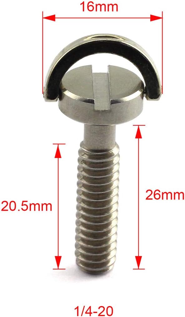 HJ Garden 2pcs 1/4-20 Thread D-Ring Stainless Steel Camera Fixing Screws