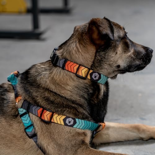Wolfgang Heavy Duty Adjustable Dog Harness, Pull-Tested to Over 800 lbs for Walking & Training, ChevTech Print, Large