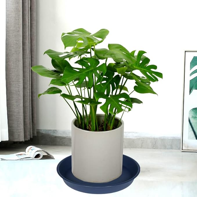 4 Pack of 14 inch Plant Saucers Bird Bath Bow Round, Plastic Plant Saucer Tray for Pots, White Planters for Indoor Plants, Plant Trays for Planter 12-15" (14", Blue)