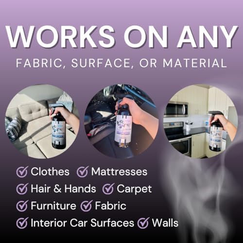The Stink Solution Smoke Odor Eliminator Spray - Completely Remove Smoke Smell From House, Car, Clothes, Hair, & More - Best Odor Eliminator For Smoke - Bamboo Teak, Sky Blue, & Unscented 4 oz Bottles