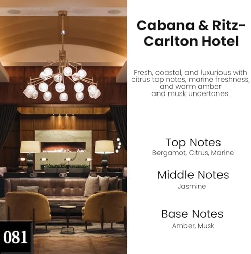 HoogaLife Car Air Freshener Hanging 2 Pack - Hotel Collection Diffuser Oil Inspired by Cabane & Rltz. CarIton Hotel - NO.1012 Fragrance Oil, Car Fresheners for Women Made in USA (081)