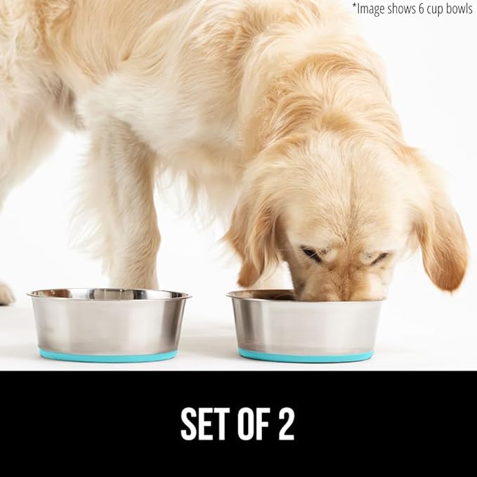 GORILLA GRIP Dog Bowls, Holds 4 Cups Each (32 fl oz), Heavy Duty Stainless Steel Food and Water Bowl for Feeding Dogs and Cats, Dishwasher Safe, Rust Resistant, BPA Free Rubber Base Set of 2 Turquoise