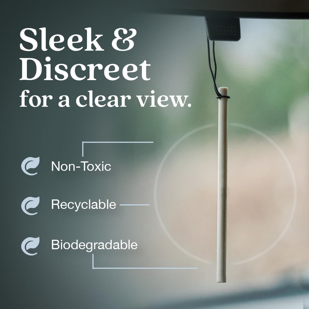 Enviroscent Non-Toxic* Car Air Freshener Auto Stix® - Scents Made Safer - Enjoy Fragrance Lasts Up to 180 Days - Includes Auto Stix® Diffusers & Elastic Loops - Black Vanilla & Mandarin (Pack of 3)
