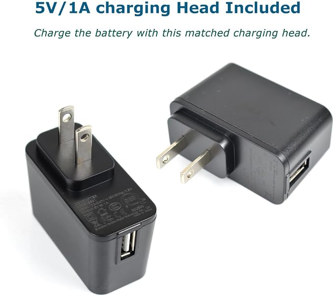 NP-FV5 Battery Charger with Charging Plug and USB Cable