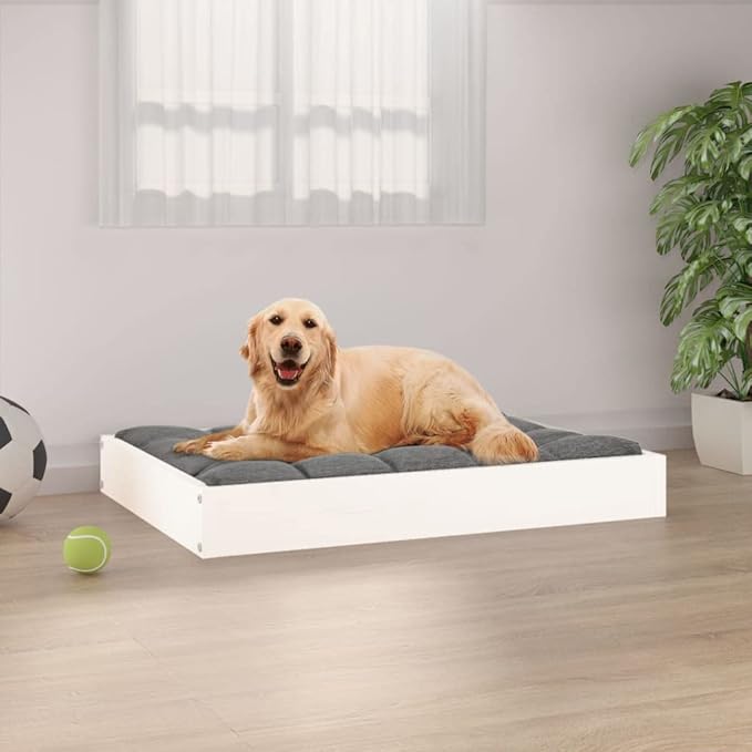 Solid Pine Wood Dog Bed 28.1 x 21.3 in White Minimalist Design for Small Dogs Indoor Pet Furniture with Durable Frame and Comfortable Spot