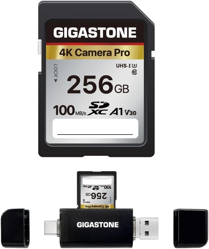 【5-Years Data Recovery】 GIGASTONE 256GB SD Card