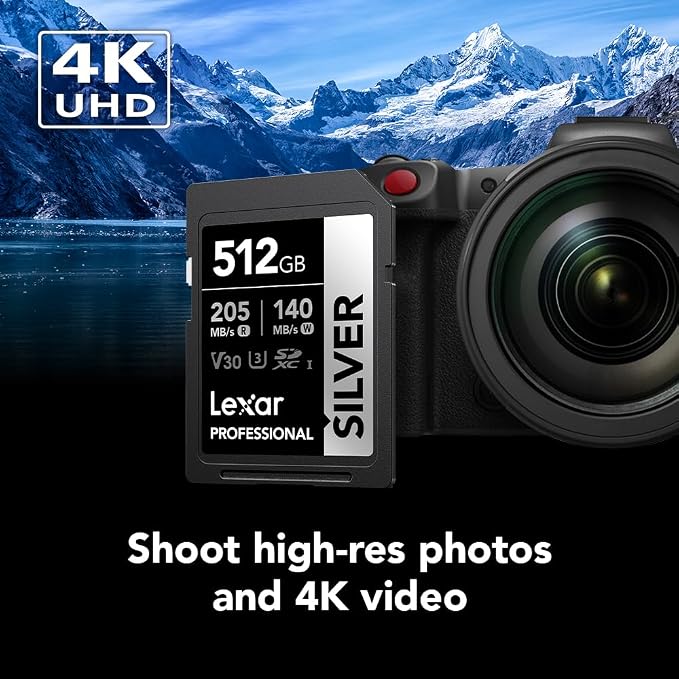 Lexar 512GB Professional Silver SD Card,