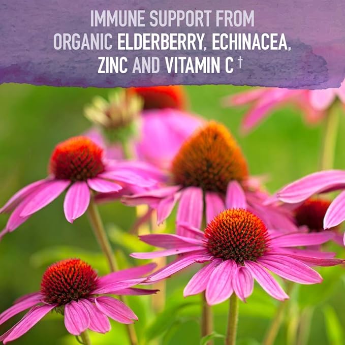 Garden of Life Organics Plant-Based Elderberry Immune Syrup 6.59 fl oz & Zinc Supplements 30mg High Potency Raw Zinc and Vitamin C Multimineral Supplement