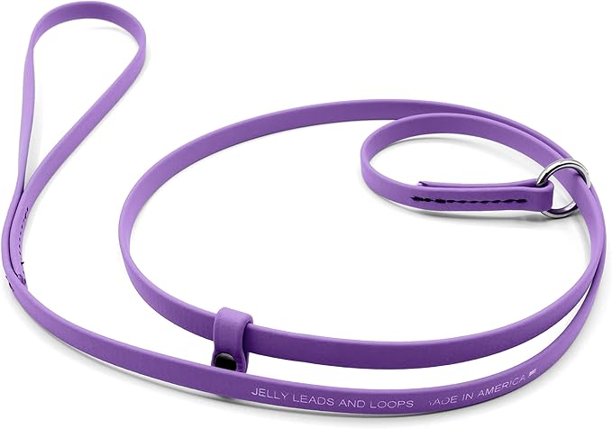 Jelly Pet Grooming Lead for Dogs | Great for Kennels, Veterinarians and Dog Grooming Salons | Biothane Leash - Easy to Clean, Waterproof & Durable Noose Loop | Made in The USA | 5/8" x 6'