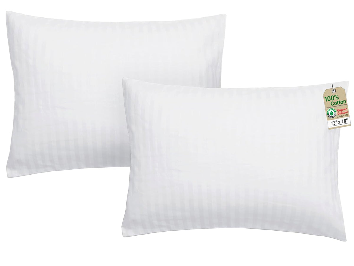 ZPECC Toddler Pillow with Pillowcase 2 Pack - 13x18 Organic Cotton Small Kids Pillow, Soft Breathable Bed Pillows for Sleeping Travel School Nap (Intended for Age 2 and up) Dinosaur