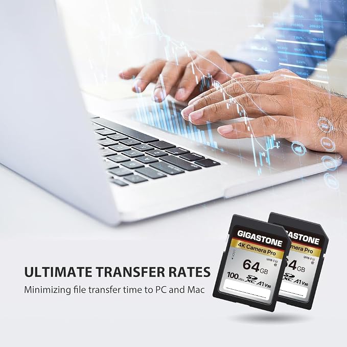 【5-Years Data Recovery】 GIGASTONE 64GB SD Card, 4K Camera Pro, UHS-I A1 V30