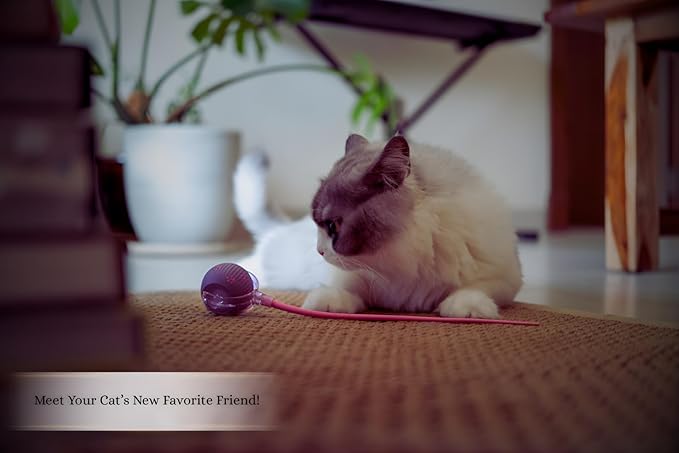 Interactive Cat Toys for Indoor Cats | Premium Quality with 3 Detachable Tails | Automatic Speed Modes with Real-Motion Movement | Rechargeable | Fun for Bored Adult Cats and Kittens