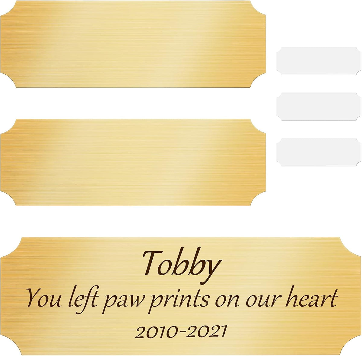 Skiennix Personalized Name Plates - DIY Engraved Brush Gold Aluminum Frame - Custom Dog Memories Art Tag | 3 x 1 Inch (Set of 3)