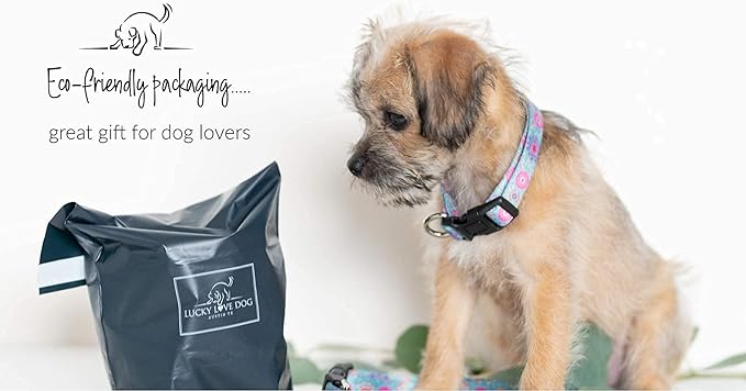 Lucky Love Dog - Adjustable Dog Collar with Easy Click Buckle for Small Ones, Durable, & Comfortable for Male & Female Dogs, Pet Collar for Puppies & Adult Dogs - Clara, XS
