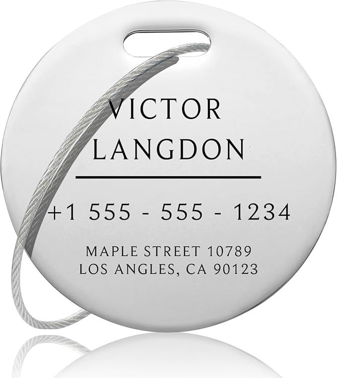Stainless Luggage Tags for Suitcases: Metal Personalized Luggage Tags and Bags with Customizable Texts (Silver)