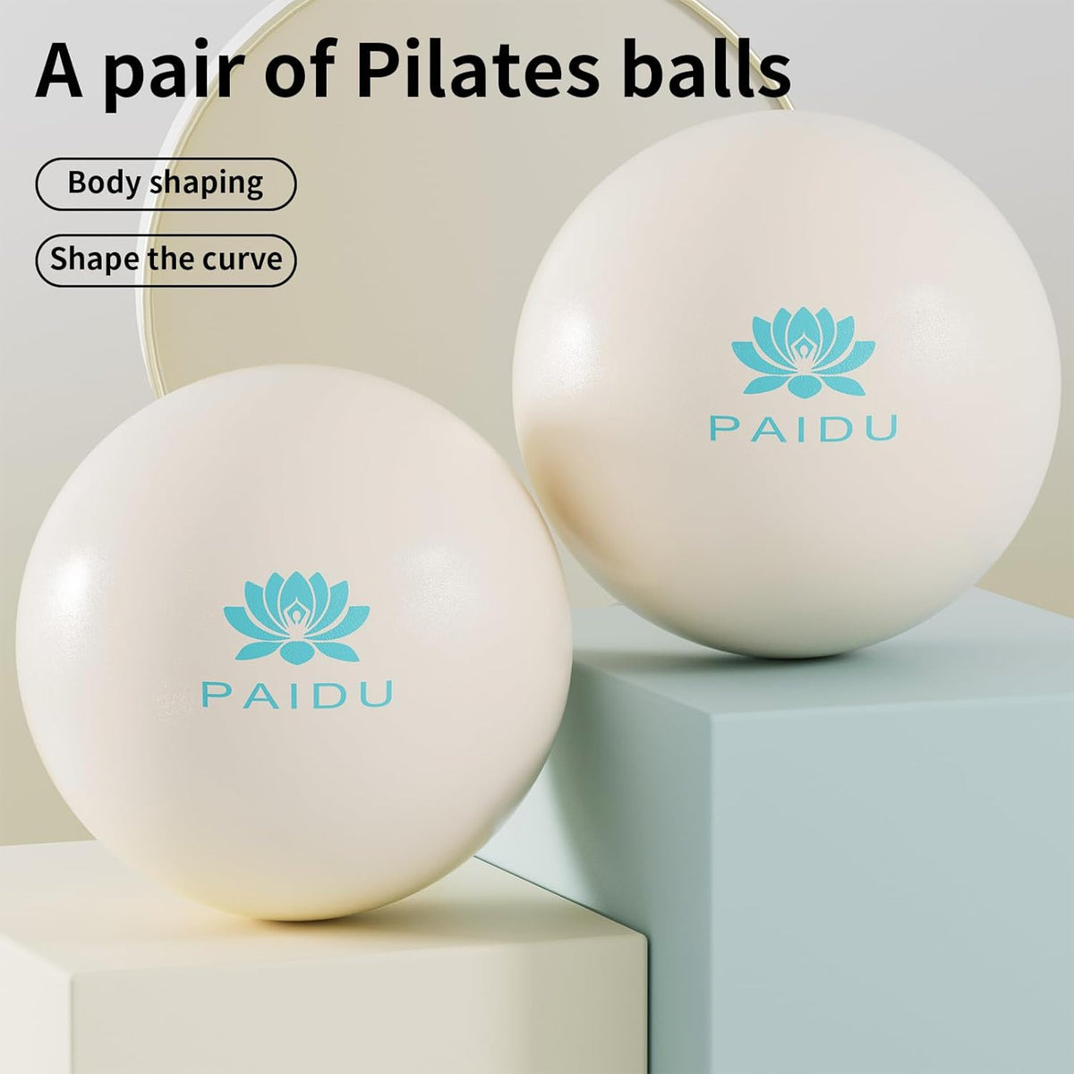 PAIDU Pilates Ball - 10-Inch Anti-Explosion Mini Yoga Ball for Core Training & Stability