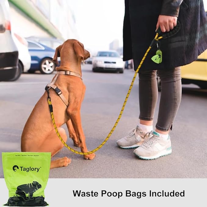 Taglory Rope Dog Leash 5 FT with Comfortable Padded Handle, Highly Reflective Threads Leash and Anti-Tangle Clip for Walking Small Dogs, 3/8 inch, Yellow