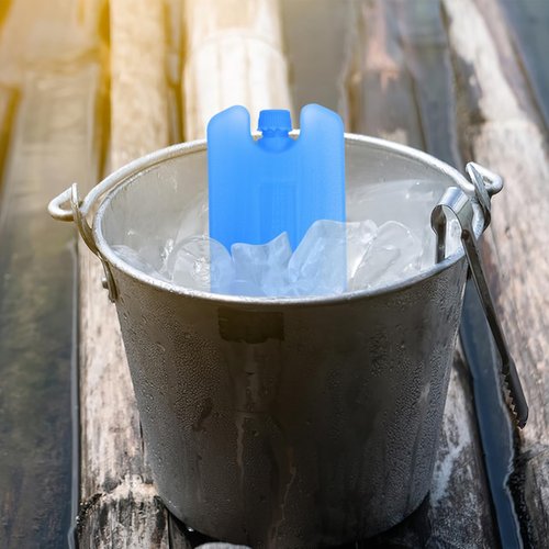 BESPORTBLE Ice Packs for Coolers: 4Pcs Reusable Ice Packs - Blocks for Cans, Lunch Boxes, Coolers, Camping, Picnics, Beach, Fishing (3 * 0.78 * 4.68in)