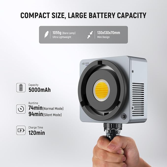 NEEWER 80W LED Video Light