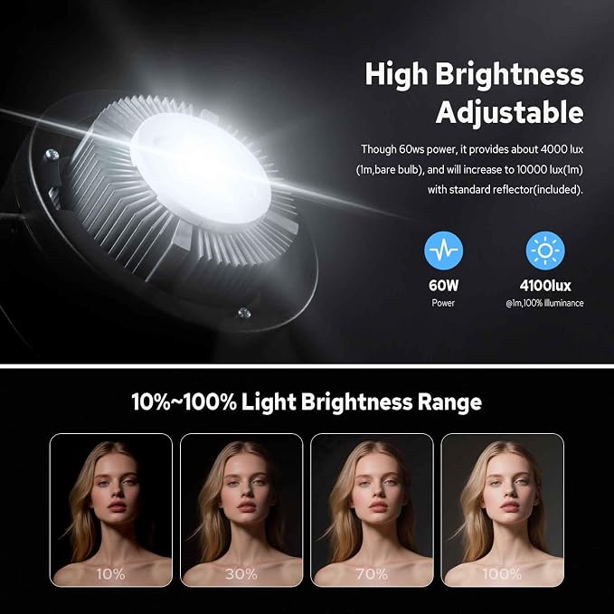Godox SL60W LED Video Light, 60W 5600K Daylight LED Continuous Light SL-60W