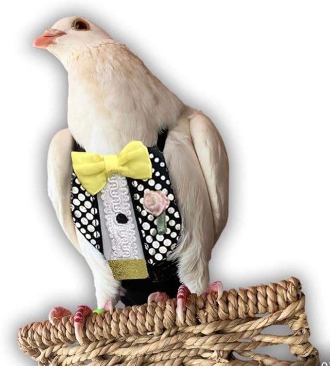 Bev's Bird Boutique Regular Flyper Adjustable Bird Diaper | Reusable, Washable Cloth | Comfort Fit for Parrot, Cockatiels, & Other Small Birds | Fashionable Avian Accessories, Retro Tux, Size 8