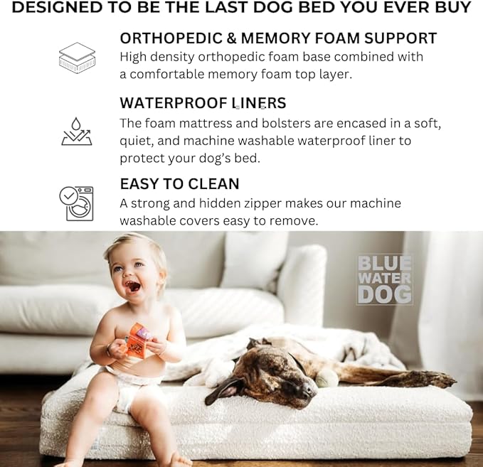Luxury Boucle Orthopedic Memory Foam Dog Bed with Waterproof Liner and Machine Washable Cover with YKK Zippers (Small, 29" L x 23" W x 6" Th, Sand)