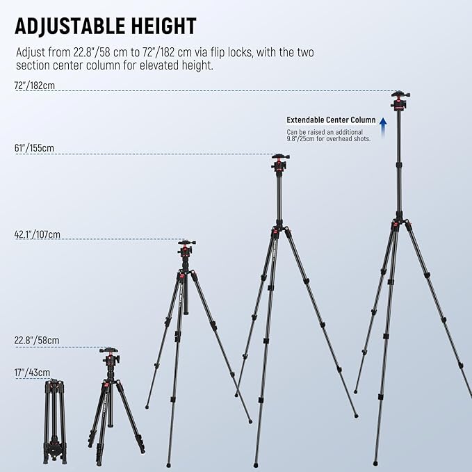 NEEWER Basics Travel Tripod for Camera, Ball Head, Arca Type QR Plate, Cell