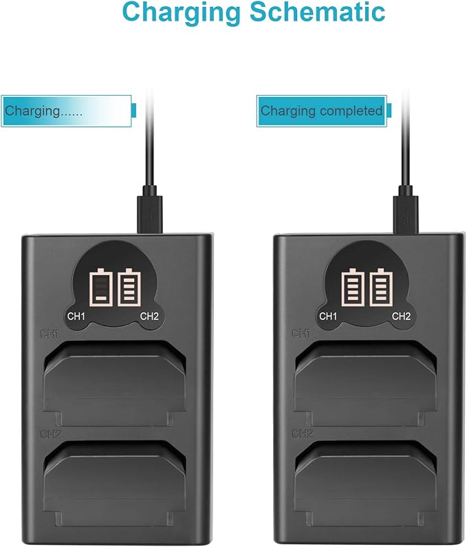 NEEWER 2 Pack 2280mAh NP-FZ100 Replacement Battery and Dual USB Charger
