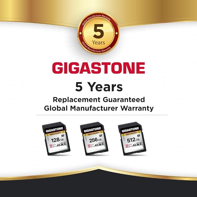 【5-Years Data Recovery】 GIGASTONE 128GB SD Card 2-Pack, 4K Camera Pro MAX
