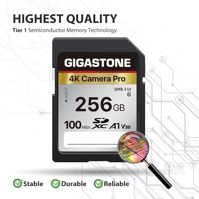 【5-Years Data Recovery】 GIGASTONE 256GB SD Card