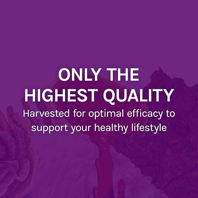 Host Defense MyCommunity Capsules - 17 Species Blend Mushroom Supplement for Immune Support - Herbal Aid with Lion's Mane, Reishi, Chaga, Cordyceps, Turkey Tail & More - 30 Capsules (15 Servings)*