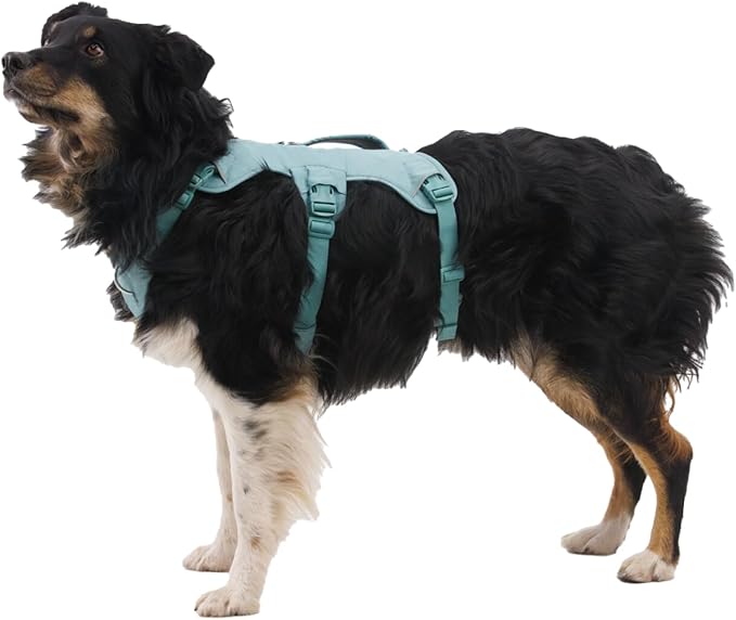 Ruffwear, Web Master, Multi-Use Support Dog Harness, Hiking and Trail Running, Service and Working, Everyday Wear, Red Canyon, Large/X-Large