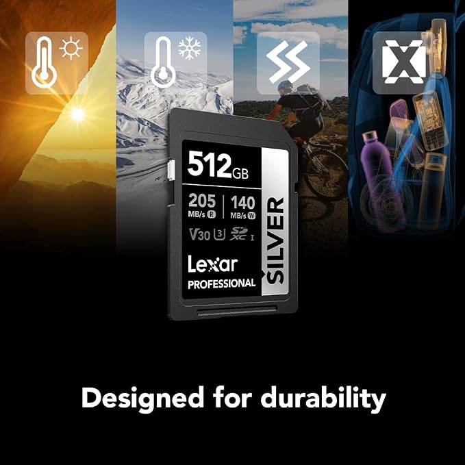 Lexar 512GB Professional Silver SD Card,