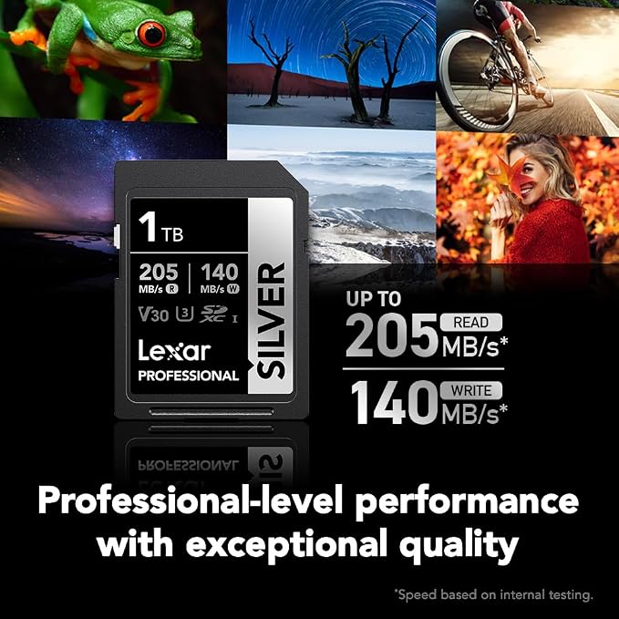 Lexar 1TB Professional Silver SD Card,
