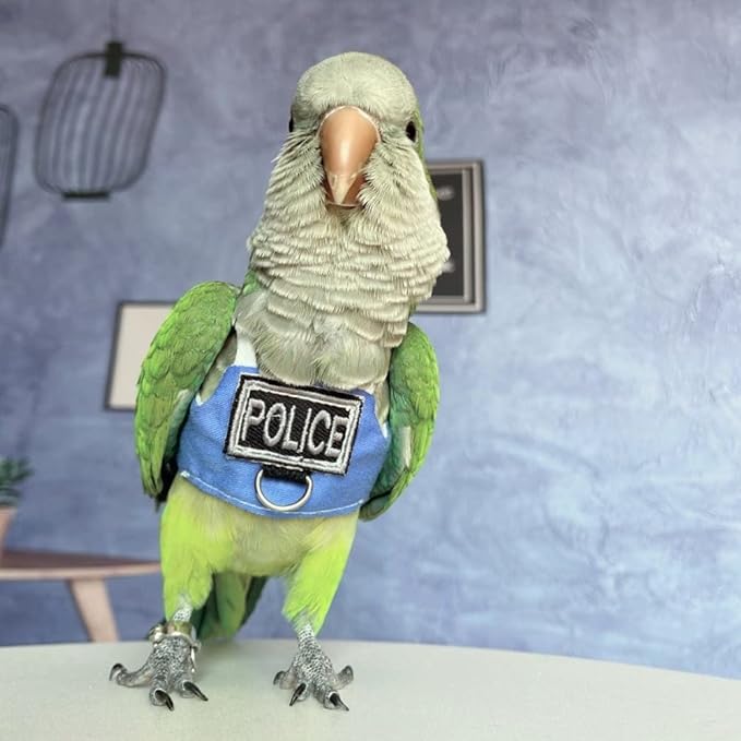Bird Flight Harness Vest, Parrot Flight Suit with Leash, Bird Flying Clothes with Rope and Handle for Outdoor Activities (Without Leash,Sun Conure)