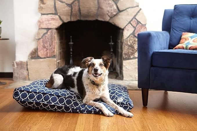 Molly Mutt Sheepy Wool-Filled Crate Pad, GOTS-Certified 100% Organic Cotton Canvas Cover with Soft 100% Natural Wool Insert, Ideal for Dog Bed or Kennel, Amarillo by Morning, 42" x 28" x 2.5"