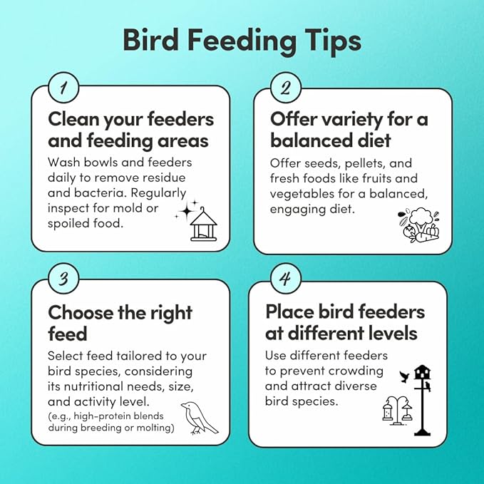 Mycelium Pet Bird Cuisine Plus | Organic Bird Seed Mix for Finch, Budgie & Cockatiel | Energy, Digestive & Immune Support with Fruits, Veggies, Egg, Flaxseed, & Vitamins | Non-GMO 5 lb Bag