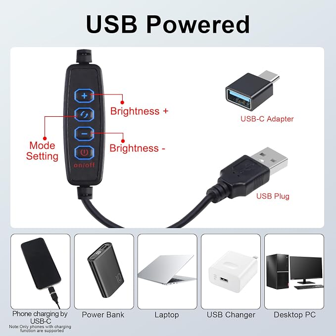 12" LED Video Light Kit, Streaming Lighting