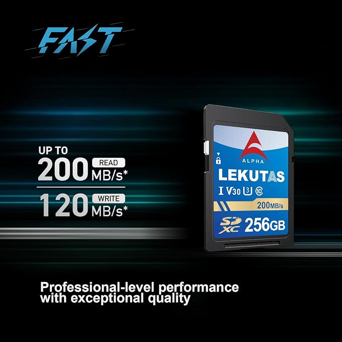 256GB SDXC UHS-I Memory Card