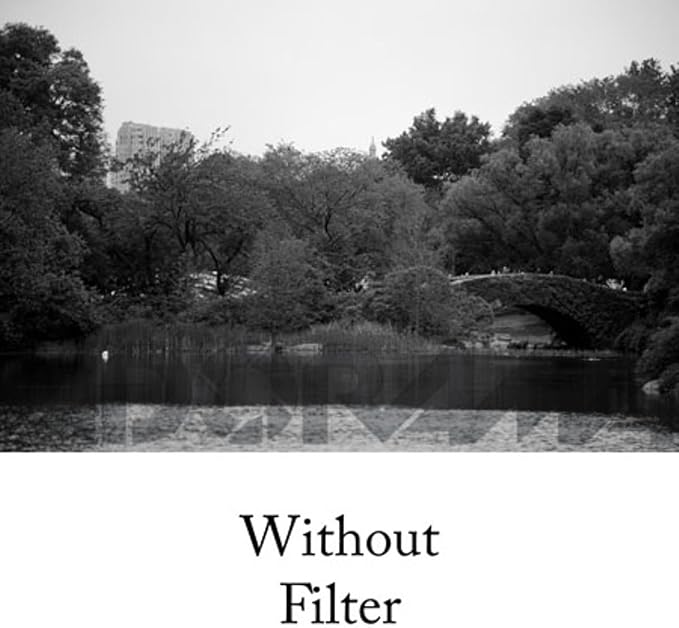 Tiffen 77mm 25 Filter