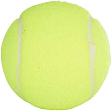 Penn Championship Tennis Balls - Extra Duty Felt Pressurized - 24 Cans, 72 Balls Total